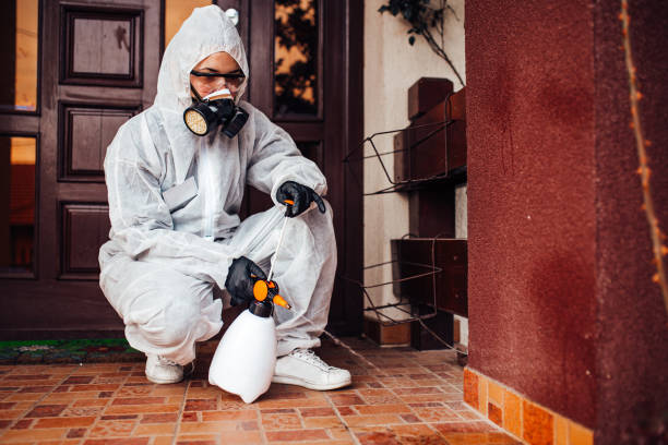 Reliable Ant Control contractor in East Camden, AR by Nex Pest Control
